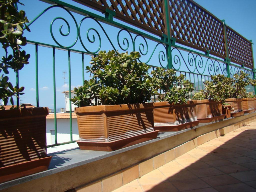 Sorrento Inn Guesthouse Exteriör bild
